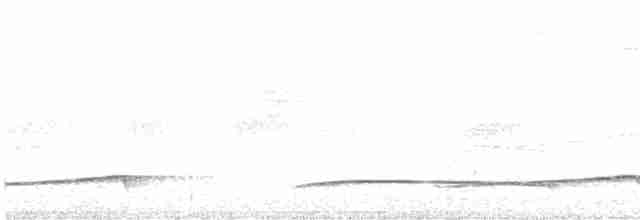 Лінивка-смугохвіст панамська - ML515920231