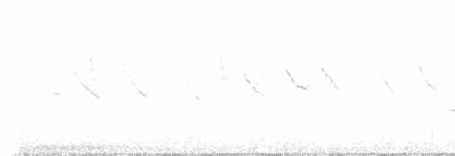 Білозорка фіолетова - ML515955671