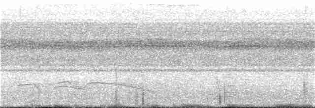 Great Eared-Nightjar - ML51599201