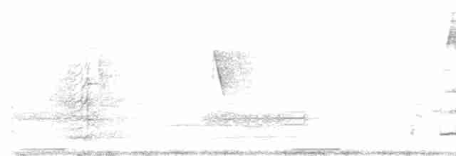 holub pestrokřídlý - ML516009391