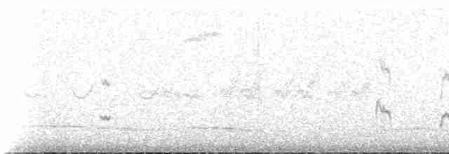 Perija Thistletail - ML516020
