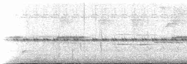 Серогрудый певун - ML516037