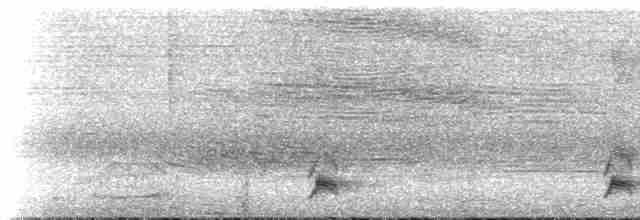 Kestane Karınlı Ardıç - ML516039
