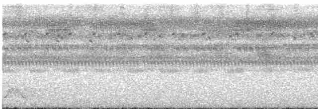 Rufous Nightjar - ML516160611