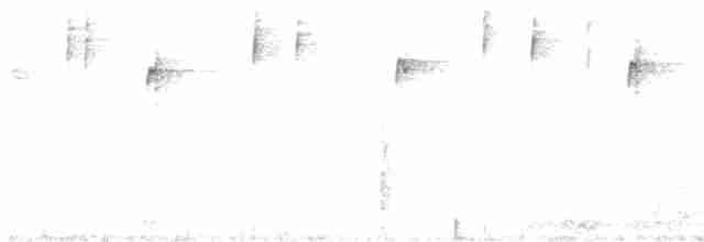 White-striped Warbler - ML516174321
