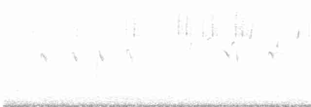 Red Crossbill (Western Hemlock or type 3) - ML516185861