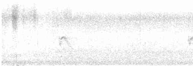 Evening Grosbeak (type 4) - ML516208551