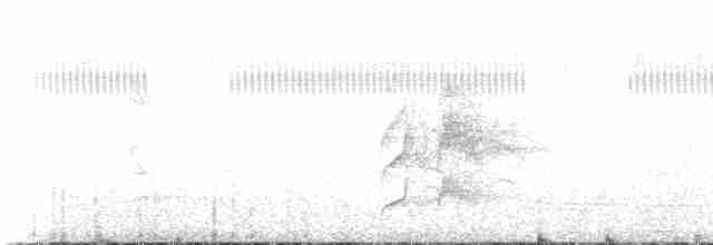 Red-breasted Meadowlark - ML516213