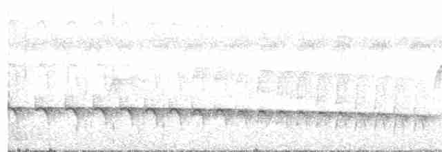Schwarzkopf-Ameisenschnäpper - ML516226161