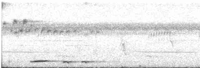 Küçük Kurşuni Güvercin - ML516232501