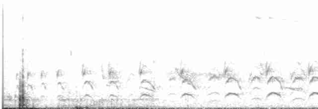 Kara Başlı Dikenkuyruk - ML516233121