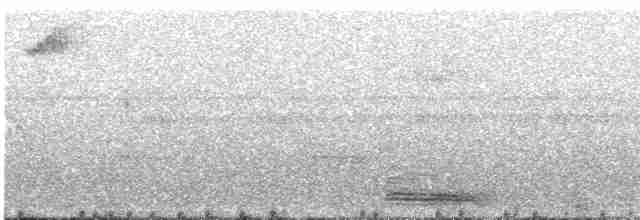 Koca Başlı Motmot [platyrhynchum grubu] - ML516233291