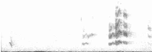 Амазон-карлик червонолобий - ML516237631