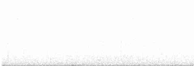 Troglodyte de Sclater (paucimaculatus) - ML516238231