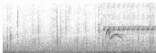 Checkered Woodpecker - ML516247581