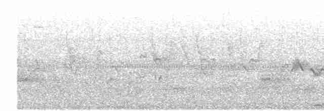 Common Cuckoo - ML516252181