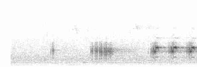 Great Reed Warbler - ML516252381