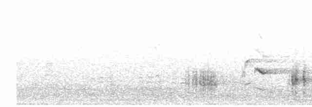 Great Reed Warbler - ML516252391