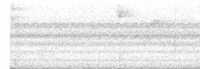 Sulphur-bellied Whistler - ML516256501