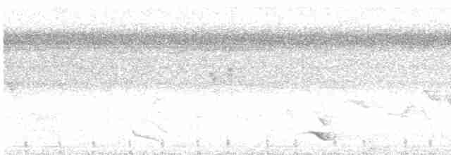 Black-chinned Whistler - ML516268251