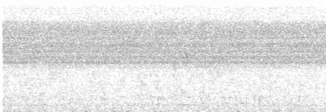 Окулярник біловолий (підвид fuscifrons) - ML516276111