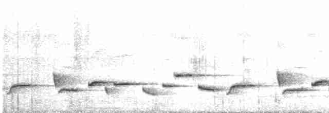 Troglodyte de Negret - ML516310051