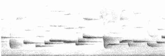Troglodyte de Negret - ML516310071