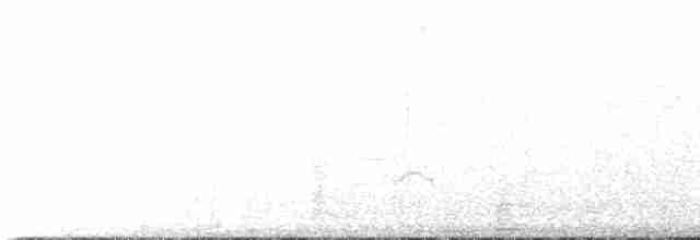 Weißbürzeltangare - ML516340