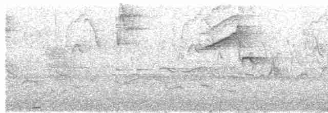 White-naped Brushfinch - ML516363501