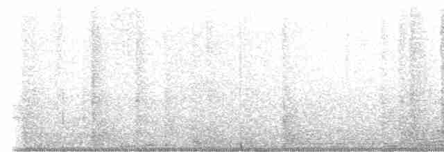 Island Thrush (Bornean) - ML516386521