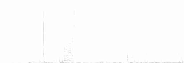 karolinasmett (albinucha/subfulvus) (mayasmett) - ML516437111