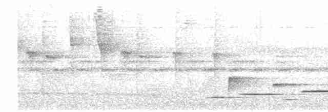 Musician Wren (Gray-eared) - ML516439331