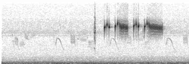 West Himalayan Bush Warbler - ML516443271