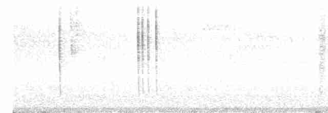 Костариканский колибри-герцог - ML516461131