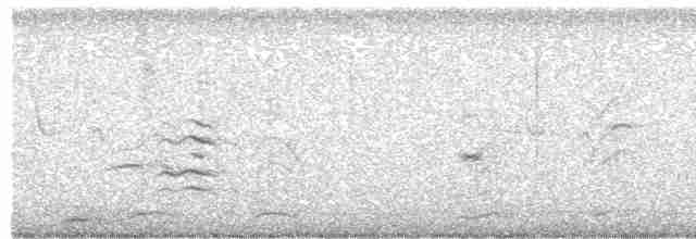 Marouette à sourcils blancs - ML516515531
