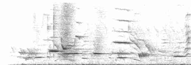 Méliphage carillonneur - ML516548