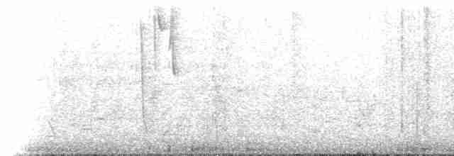 Méliphage carillonneur - ML516549