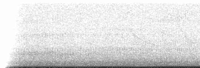 Амазон-карлик жовтолобий - ML516556