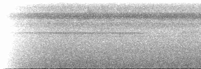 Lacivert Kuyruklu Trogon - ML516561