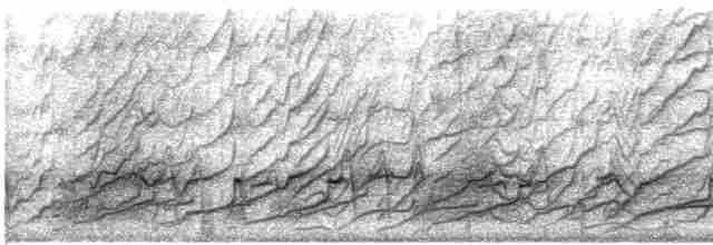 Smooth-billed Ani - ML516565441