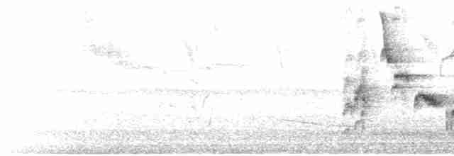 Orange-billed Nightingale-Thrush - ML516565491