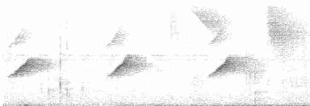 Hochland-Ameisenschlüpfer - ML516582571