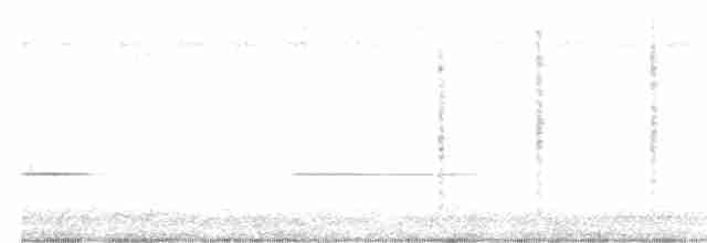 Black-browed Reed Warbler - ML516655591