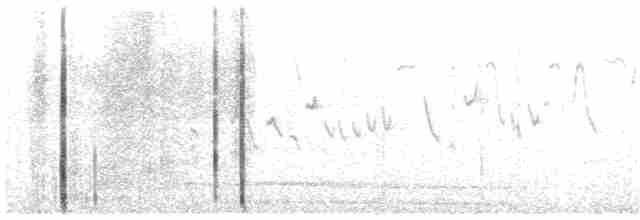Troglodyte des forêts - ML516681571