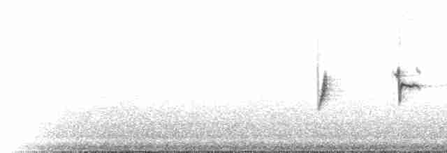 ゴマフスズメ（unalaschcensis グループ） - ML516684