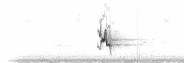 Kurşuni Vireo (plumbeus/gravis) - ML516714
