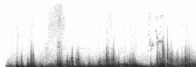Great Gray Shrike - ML516727501