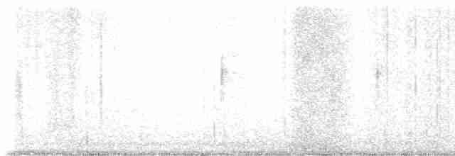 Yellow-rumped Warbler (Myrtle) - ML516733091