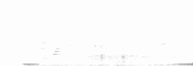 holub bronzovokřídlý - ML516785151