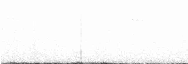 Arizona Woodpecker - ML516817961